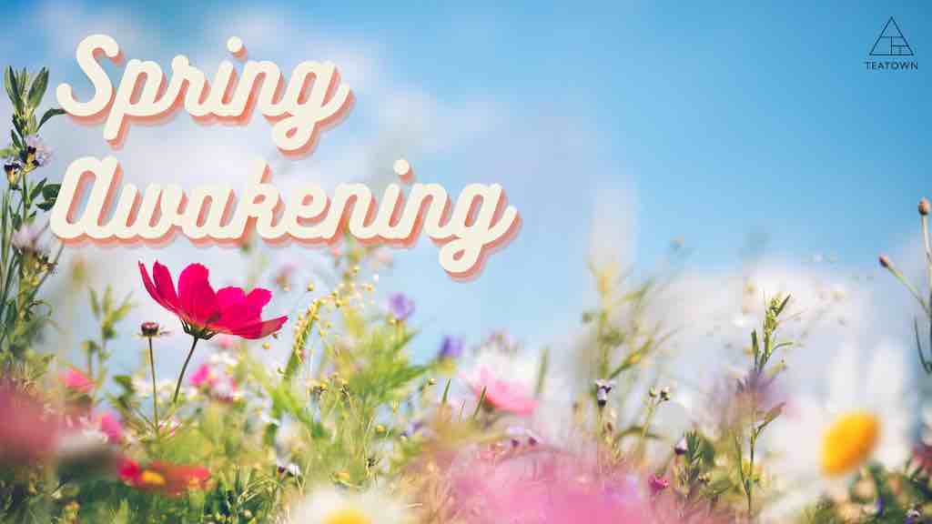 Teatown Lake Spring Awakening