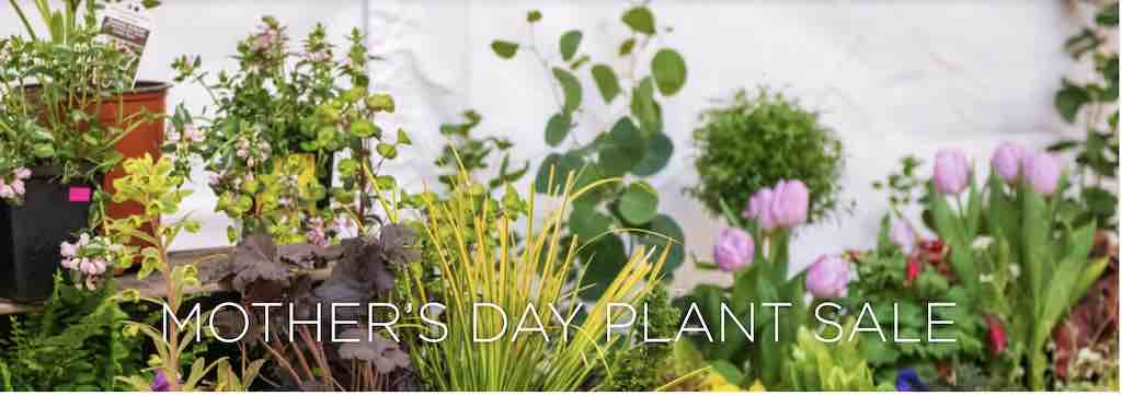 Lyndhurst Plant Sale