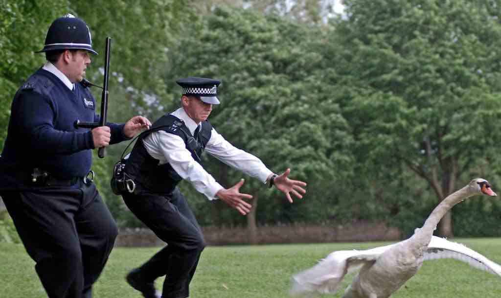 Jacob Burns Film Center: Hot Fuzz