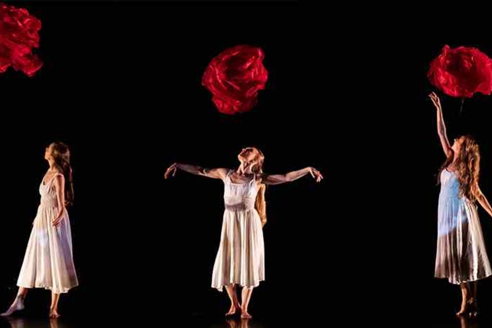 The Perforing Arts Center Purchase College: Momix